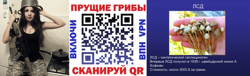 Галлюциногенные грибы мухоморы  как найти закладки  Приволжск 